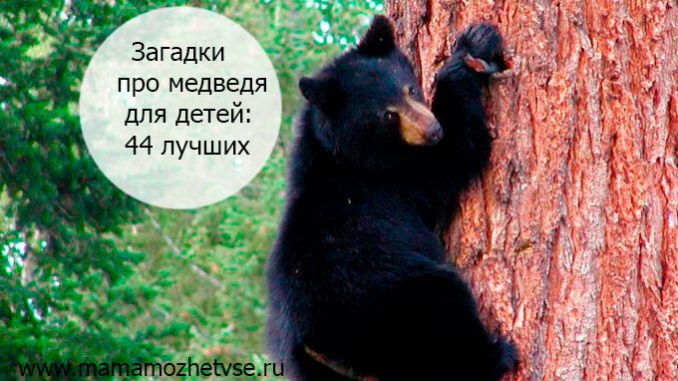 44 лучших загадки для детей 44 лучших загадки для детей