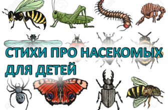 Стихи про насекомых для детей дошкольного возраста