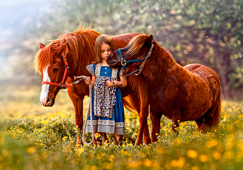детские загадки про домашних животных: лошадь