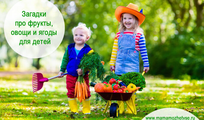 Загадки про фрукты, овощи и ягоды для детей дошкольного возраста