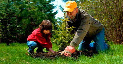 Стихи о пользе деревьев для детей детского сада thumbnail