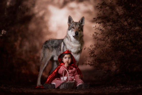 Стихи про волка для детей в детском саду