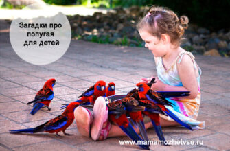Загадки про попугай для детей