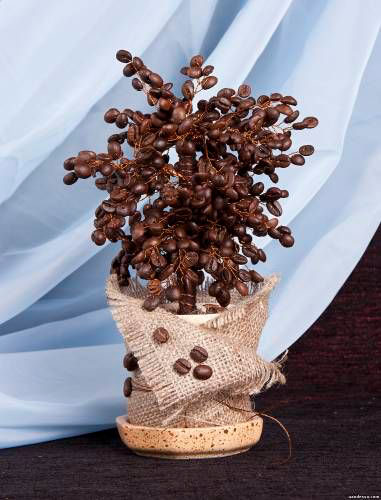 кофейное дерево из зерен