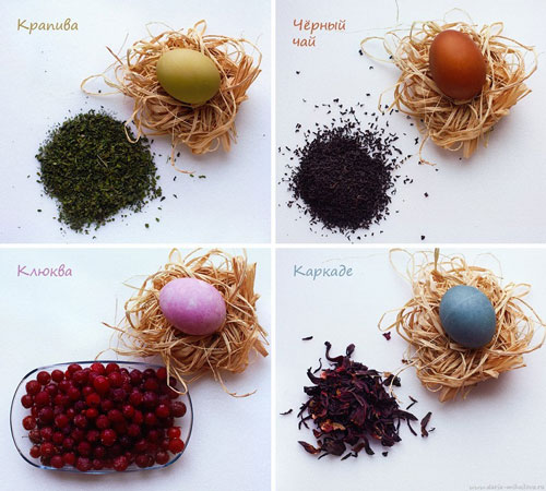 как покрасить яйца на Пасху с помощью натуральных красителей