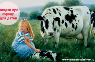 Загадки про корову для детей