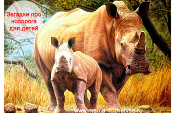 Загадки про носорога для детей