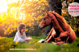 Стихи про лошадку для детей