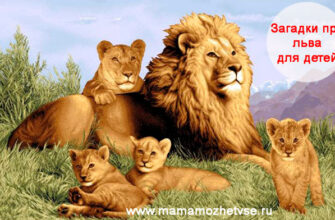 Загадки про льва для детей