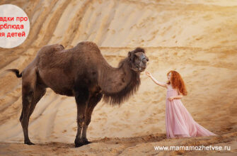 Загадки про верблюда для детей