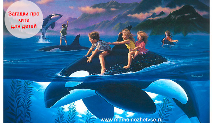 Загадки про кита для детей