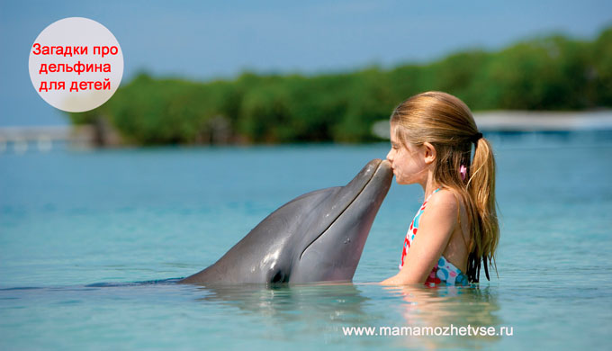 Загадки про дельфина для детей