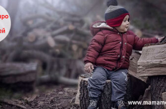 Загадки про дрова для детей