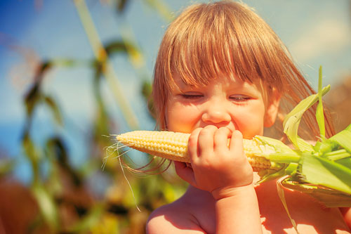 Загадки про кукурузу