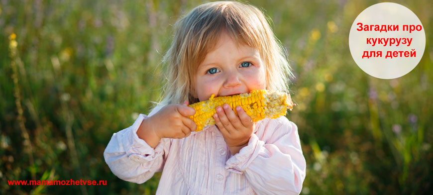 Загадки про кукурузу для детей