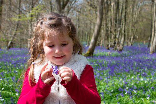 Загадки про весенние цветы с ответами для детей 4-5 лет 