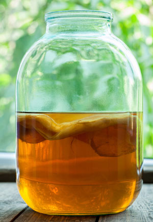 варащивание гриба из зеленого чая