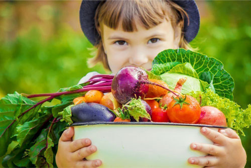 Стихи про овощи для детей: огурец