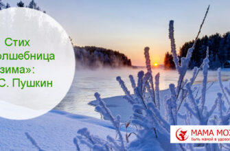 Стих «Волшебница-зима» Пушкин