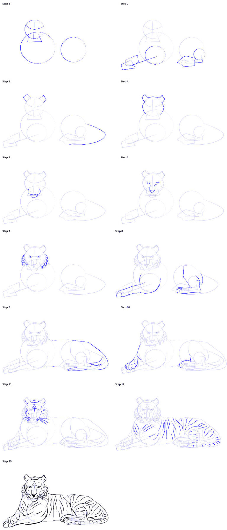 Как нарисовать сидящего тигра поэтапно