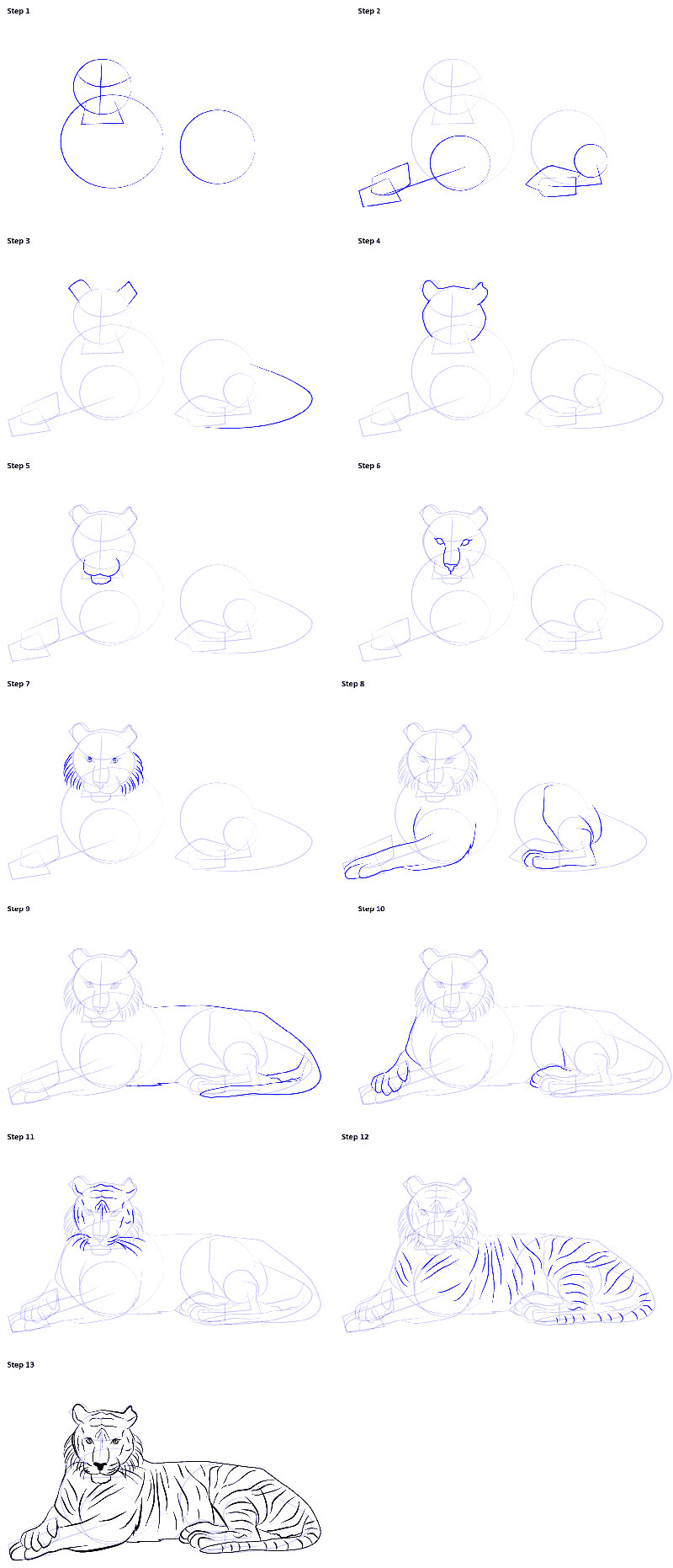 Как нарисовать тигра лежачего поэтапно