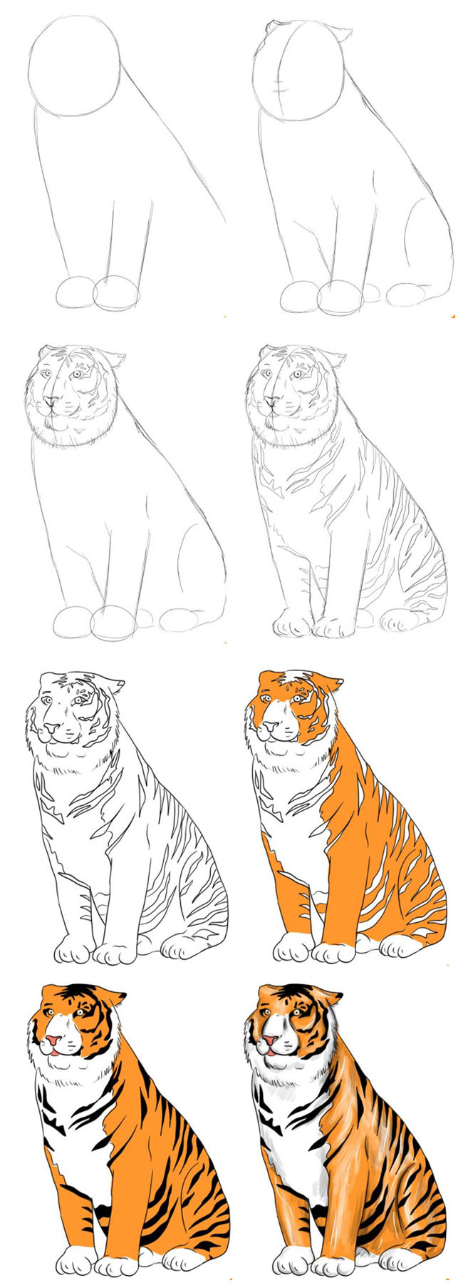 Нарисовать тигра поэтапно