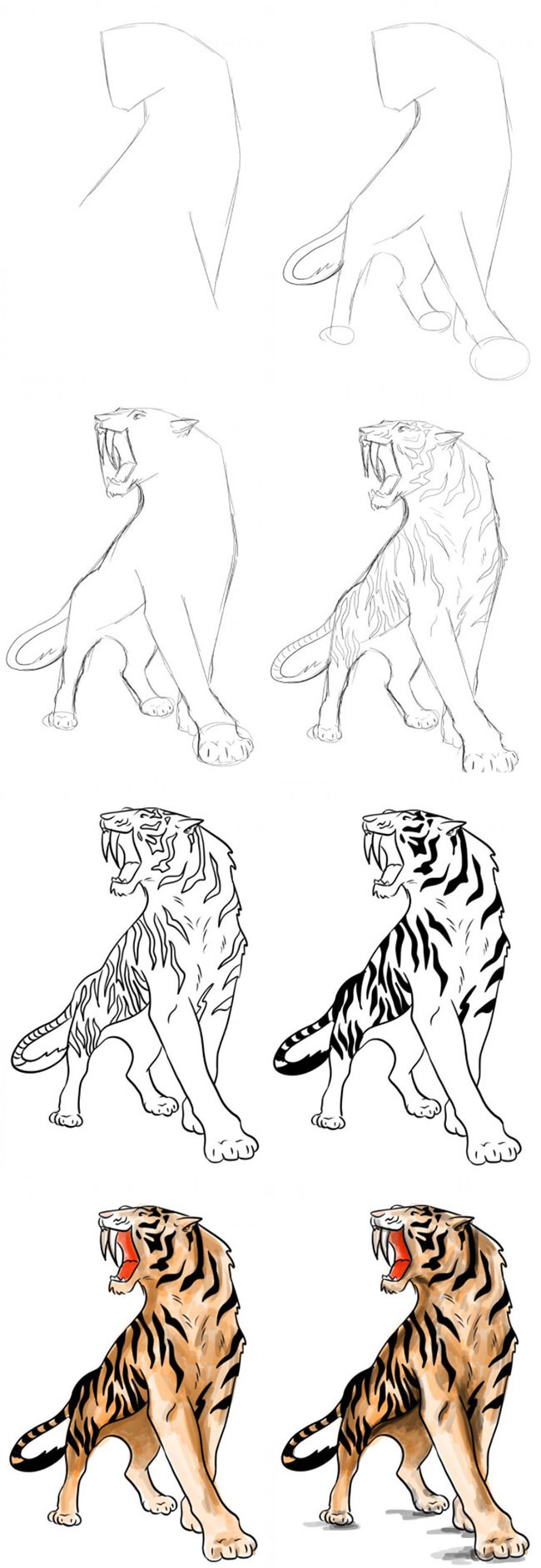 Нарисовать Саблезубого тигра поэтапно