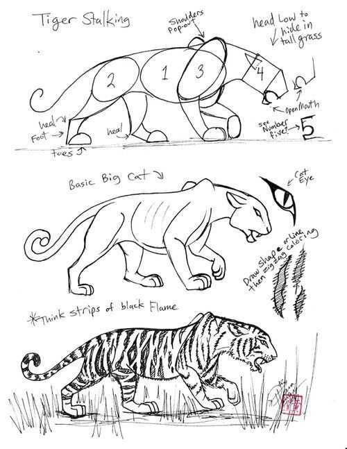 Как нарисовать тигра — простые пошаговые руководства по рисованию