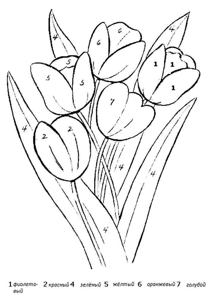 раскраска тюльпаны для детей 5-6 лет 2
