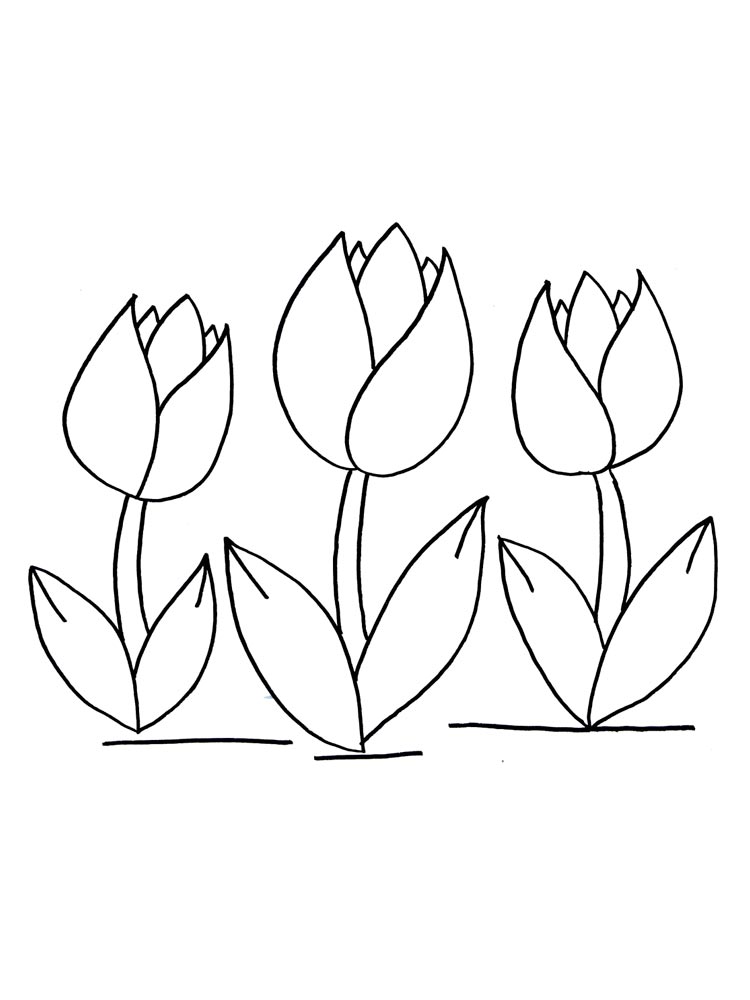 раскраска цветы тюльпаны для детей 10