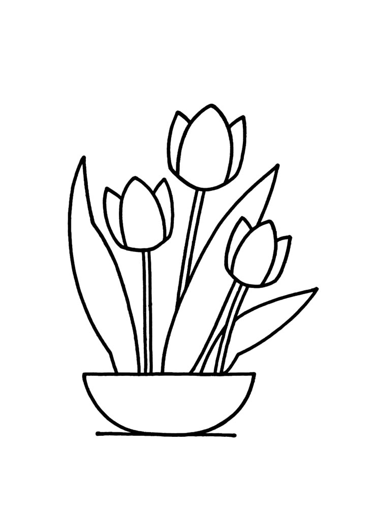 раскраска цветы тюльпаны для детей 8