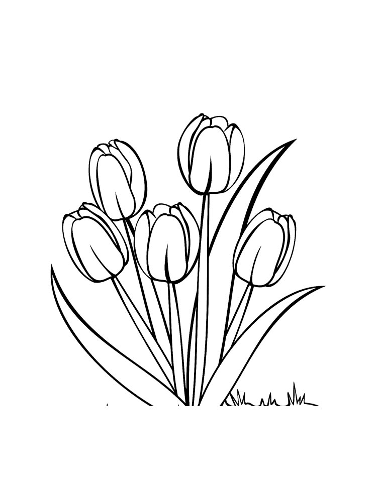 раскраска цветы тюльпаны для детей 7