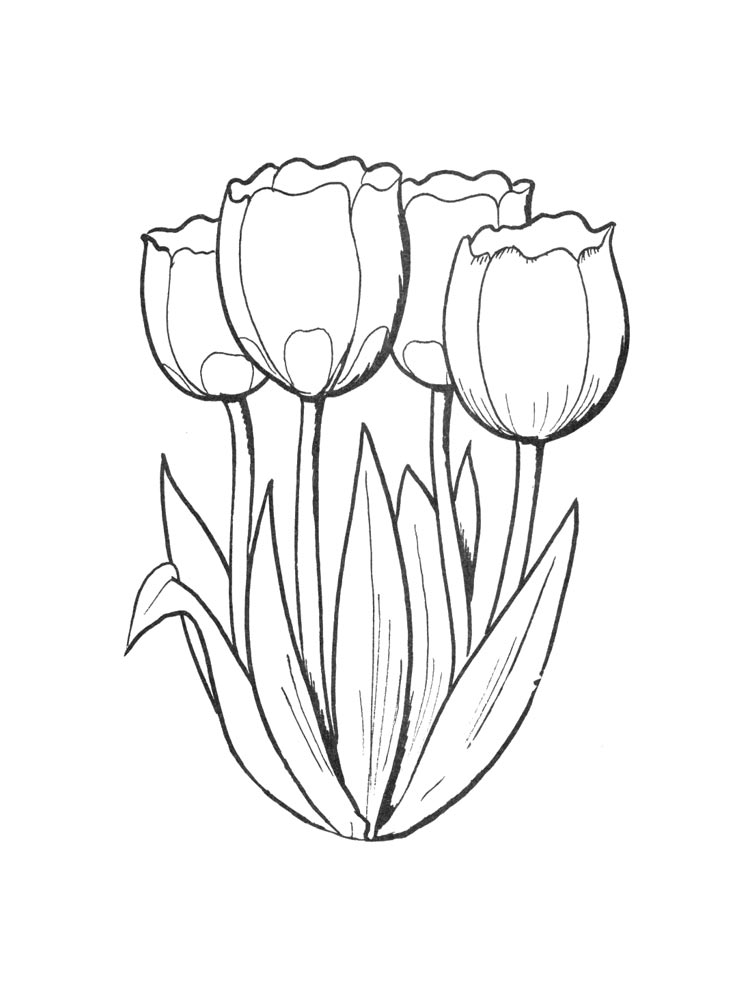 раскраска цветы тюльпаны для детей 6