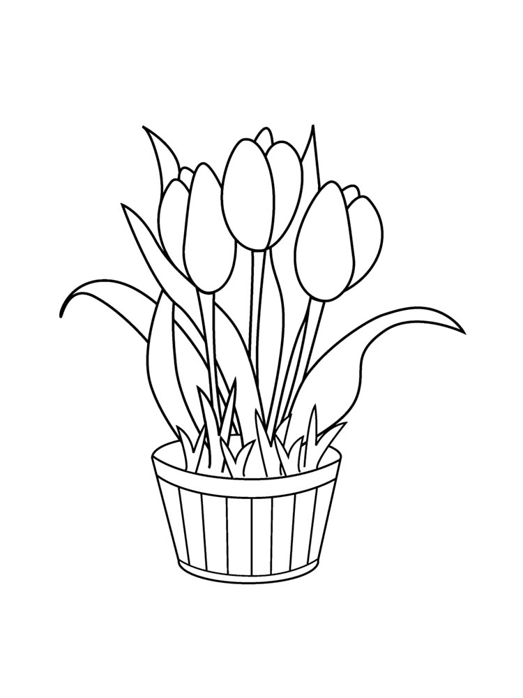 раскраска цветы тюльпаны для детей 5