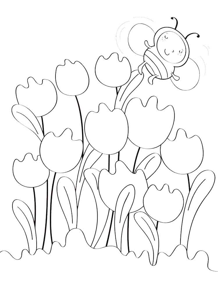 раскраска цветы тюльпаны для детей