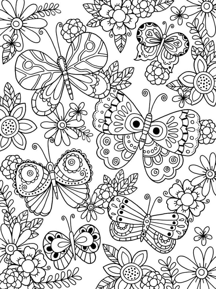 Раскраски для девочек цветы и бабочки 3