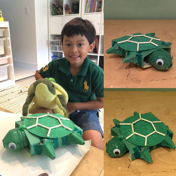 черепаха поделка из подручных материалов для детей 4