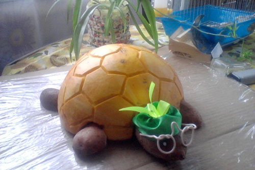 черепаха поделка для детей из овощей и фруктов 2