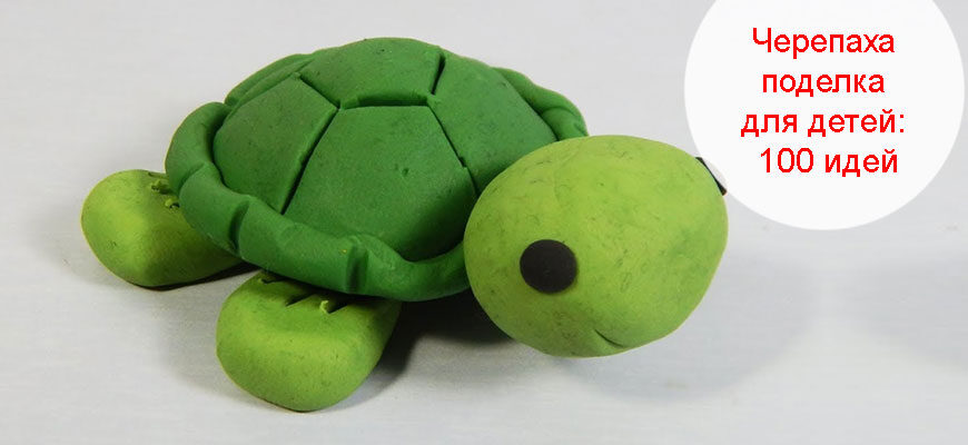 черепаха поделка для детей из теста 11