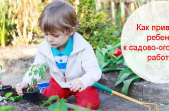 Как привлечь ребенка к садово-огородным работам