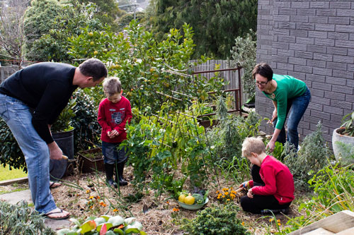 Как привлечь ребенка к садово-огородным работам 3