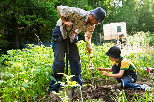 Как привлечь ребенка к садово-огородным работам 2