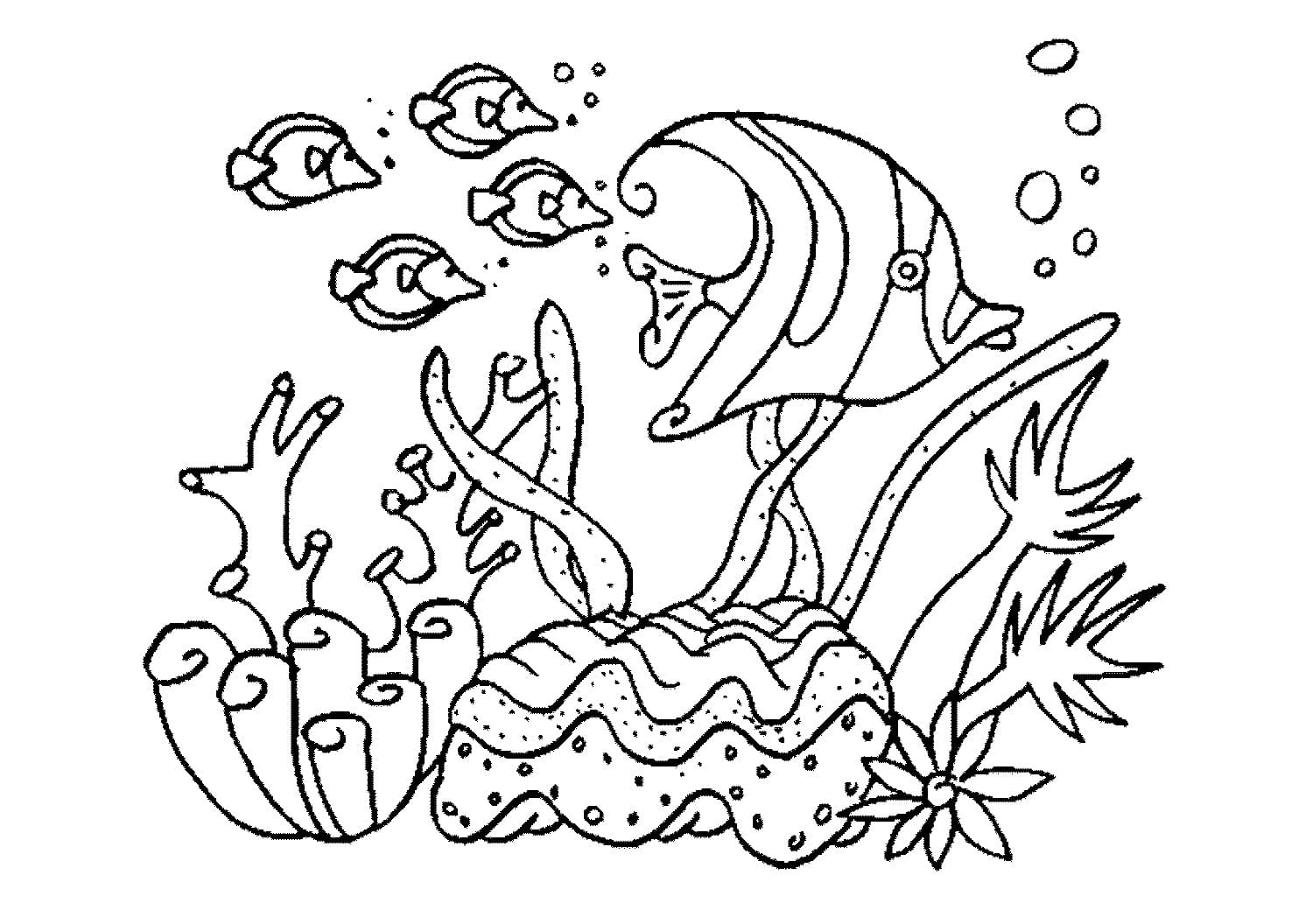 картинки раскраски морские обитатели морей и океанов для детей 9