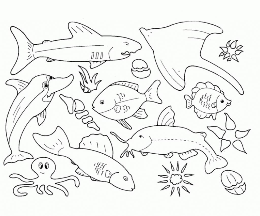 раскраски морские обитатели морей и океанов для детей 3