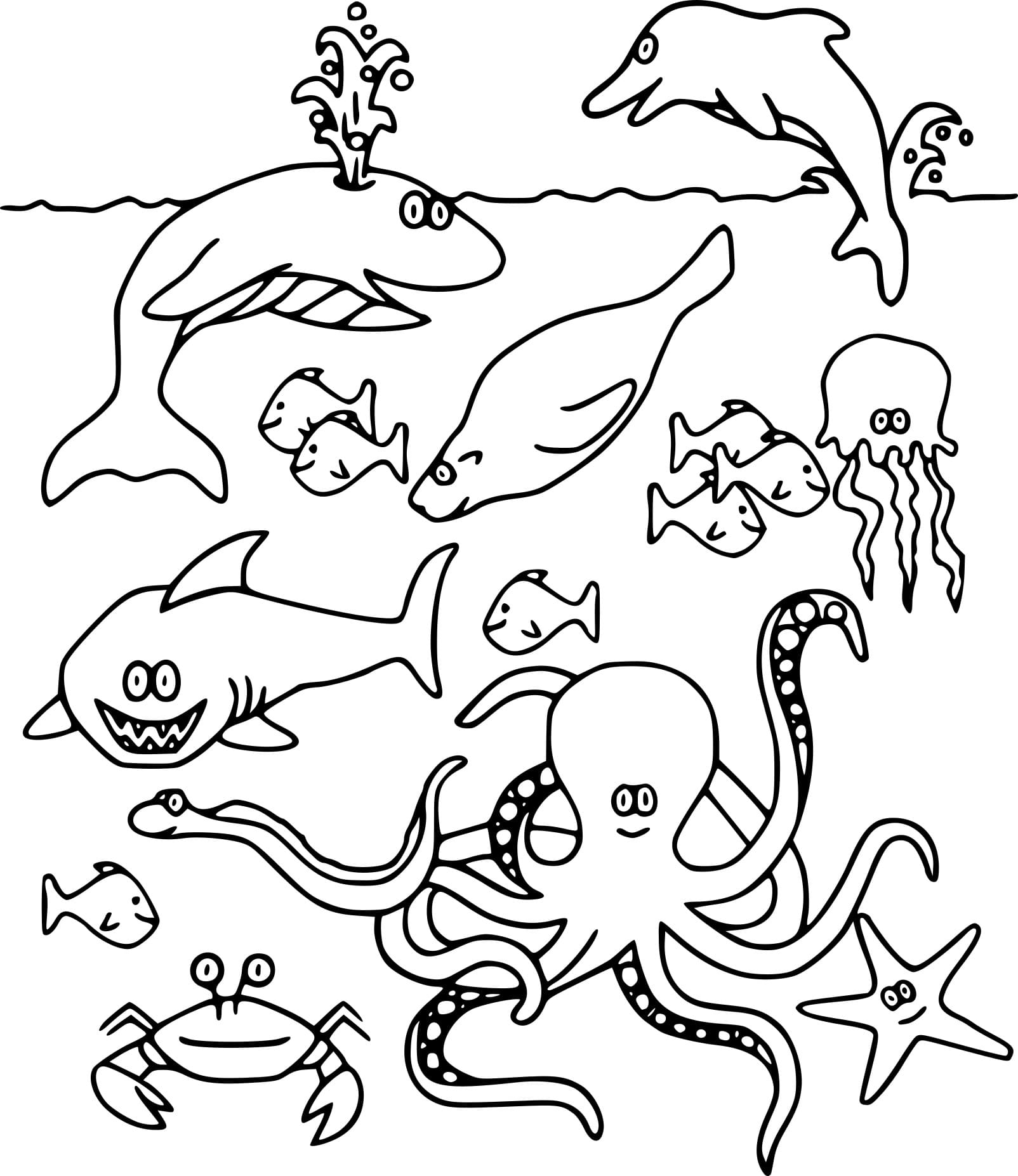 раскраски морские обитатели морей и океанов для детей 8