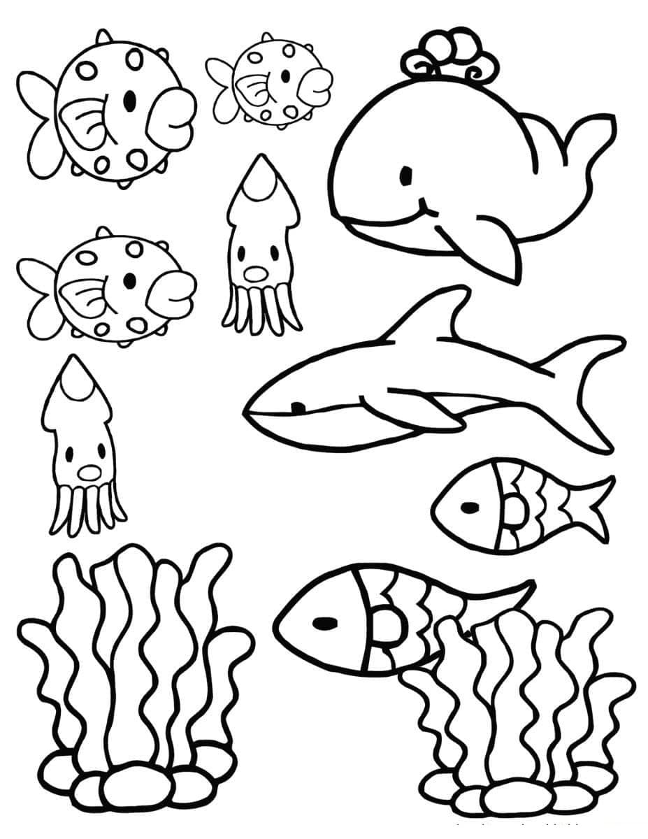 раскраски морские обитатели морей и океанов для детей 10