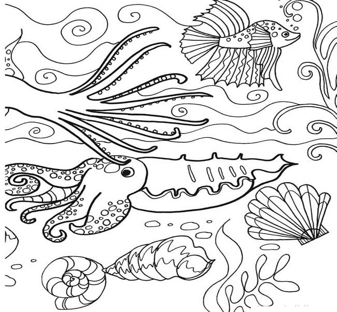 раскраски морские обитатели морей и океанов для детей распечатать 4