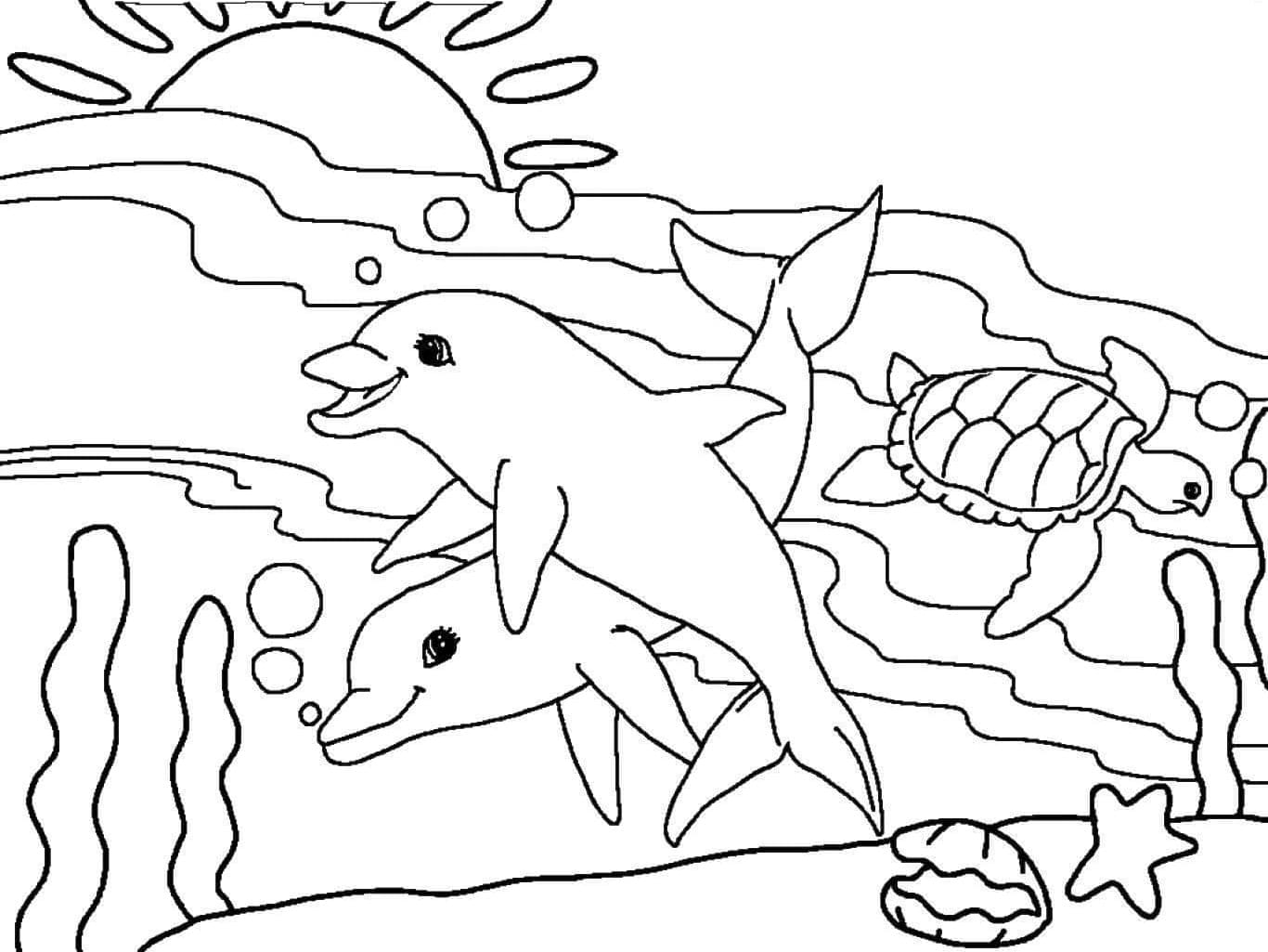 раскраски морские обитатели морей и океанов для детей распечатать 9