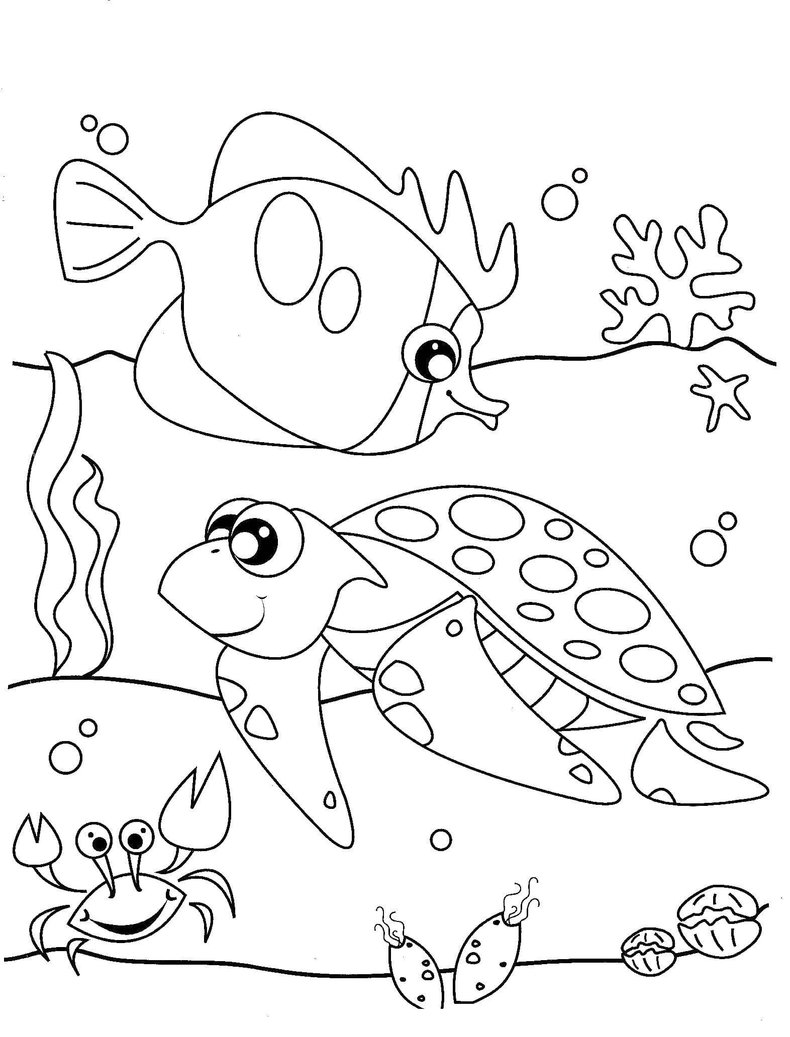 картинки раскраски морские обитатели морей и океанов для детей 5
