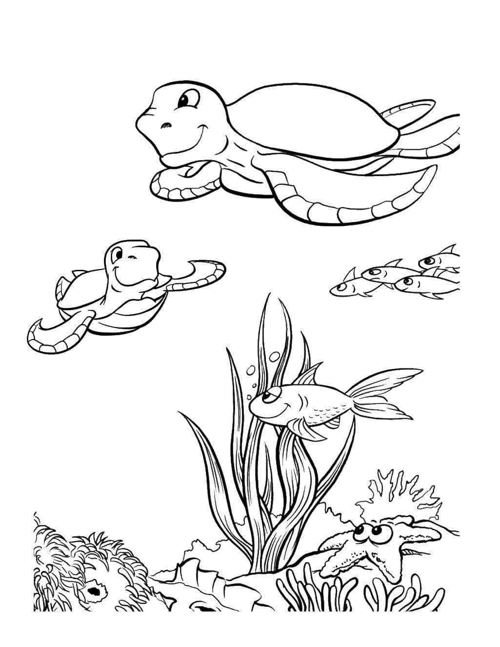 картинки раскраски морские обитатели морей и океанов для детей 3
